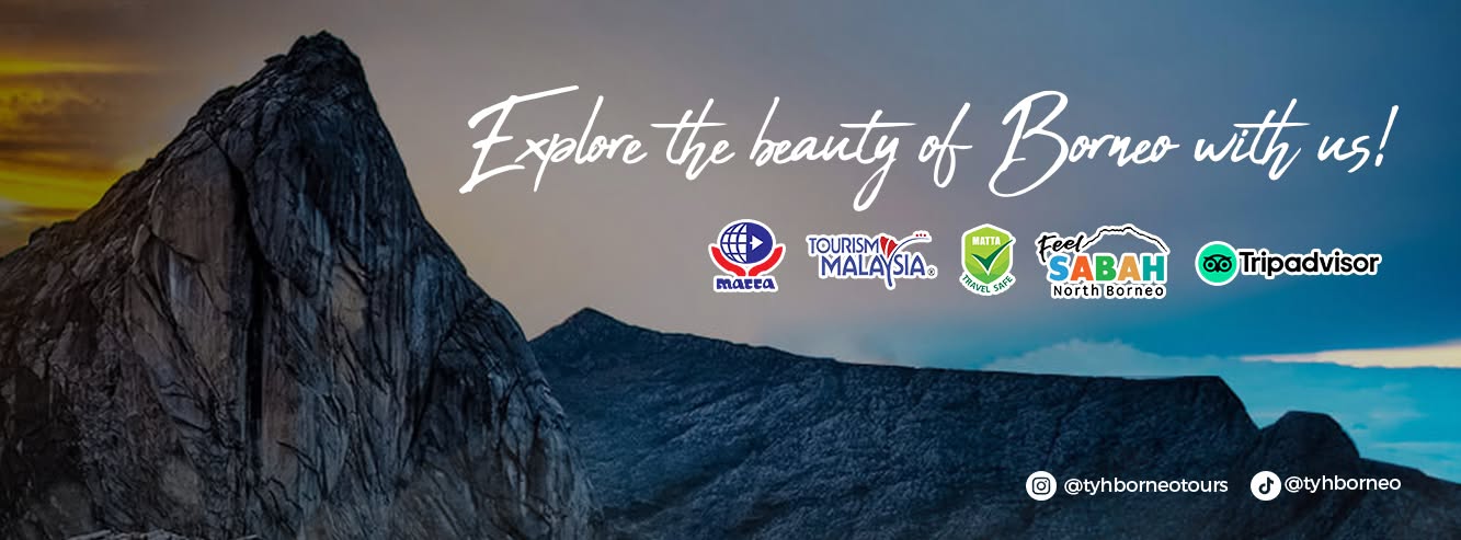 TYH Borneo Tours & Travel Sdn. Bhd. cover image
